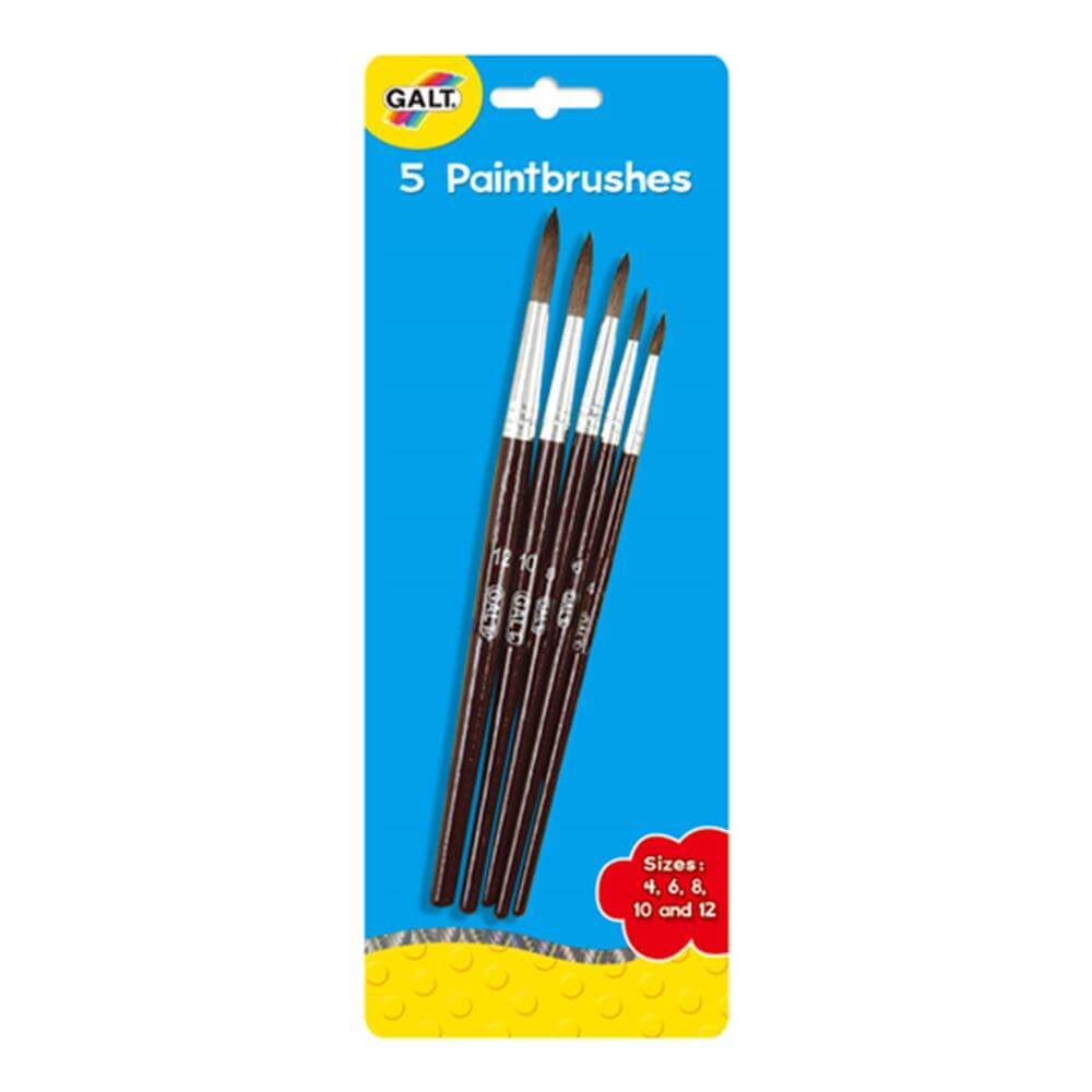 5 Soft Bristle Paintbrushes